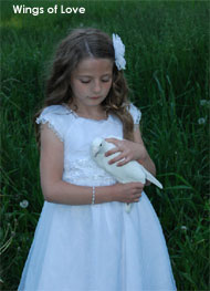 girl holding dove